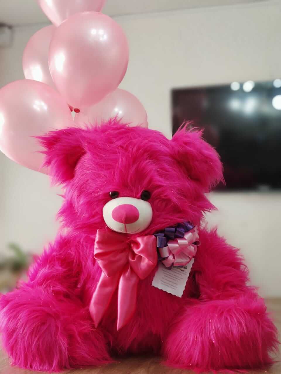 Regalos que enamoran, regalos por San Valentín. Peluches grandes y peluches  gigantes, globos, rosas, chocolat…
